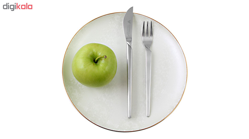 سرویس قاشق و چنگال 125 پارچه سولایتر مدل GO-37