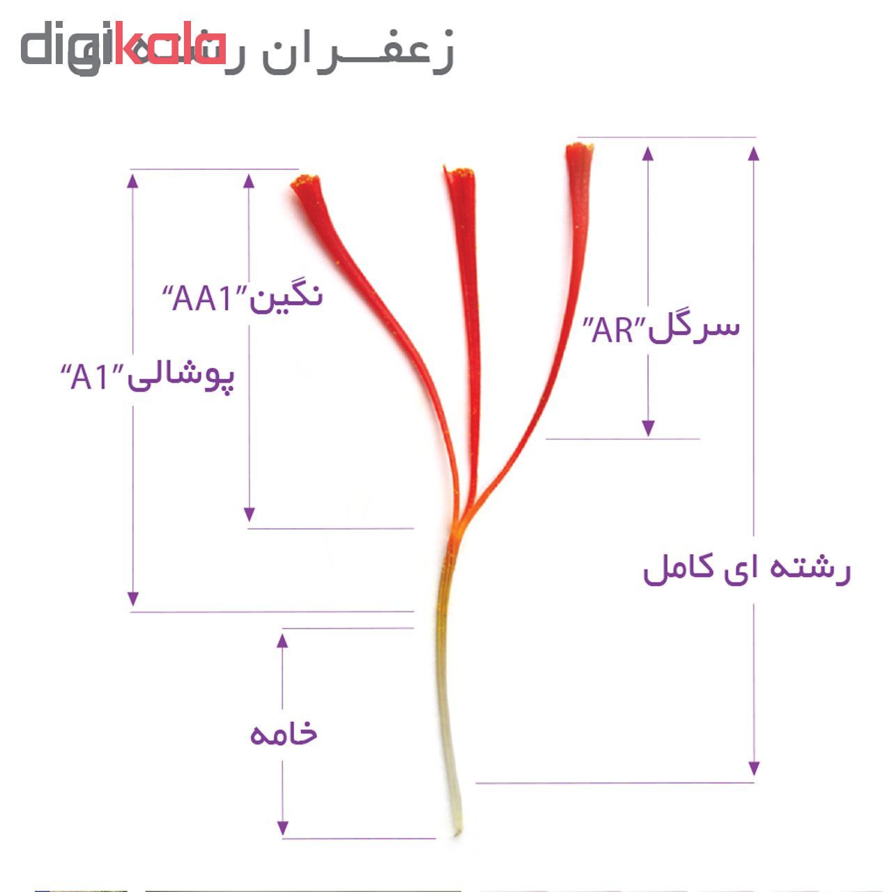 زعفران نگین نوین مقدار ۲ گرم