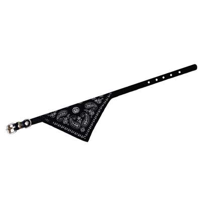 راهنمای خرید انواع قلاده گربه و سگ، مدل گردنی، کتفی و کمر، ارزان قیمت - قلاده گربه پرشین، ساده و طرح دار با اسم
