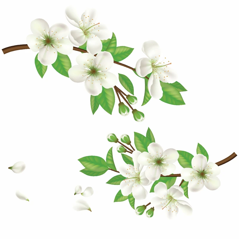 استیکر دیواری طرح شکوفه سیب کد 01