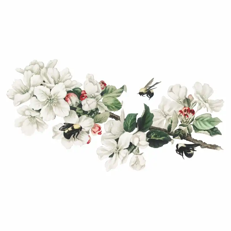 استیکر دیواری طرح شکوفه سیب کد 02