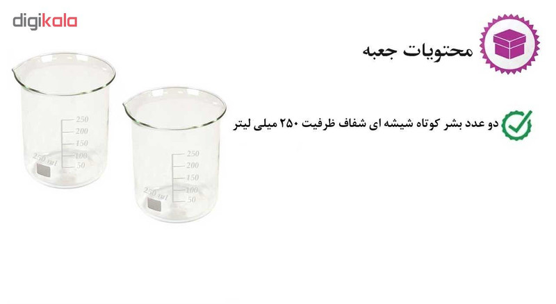 بشر آزمایشگاه مدل beaker ظرفیت 250 میلی لیتر بسته 2 عددی
