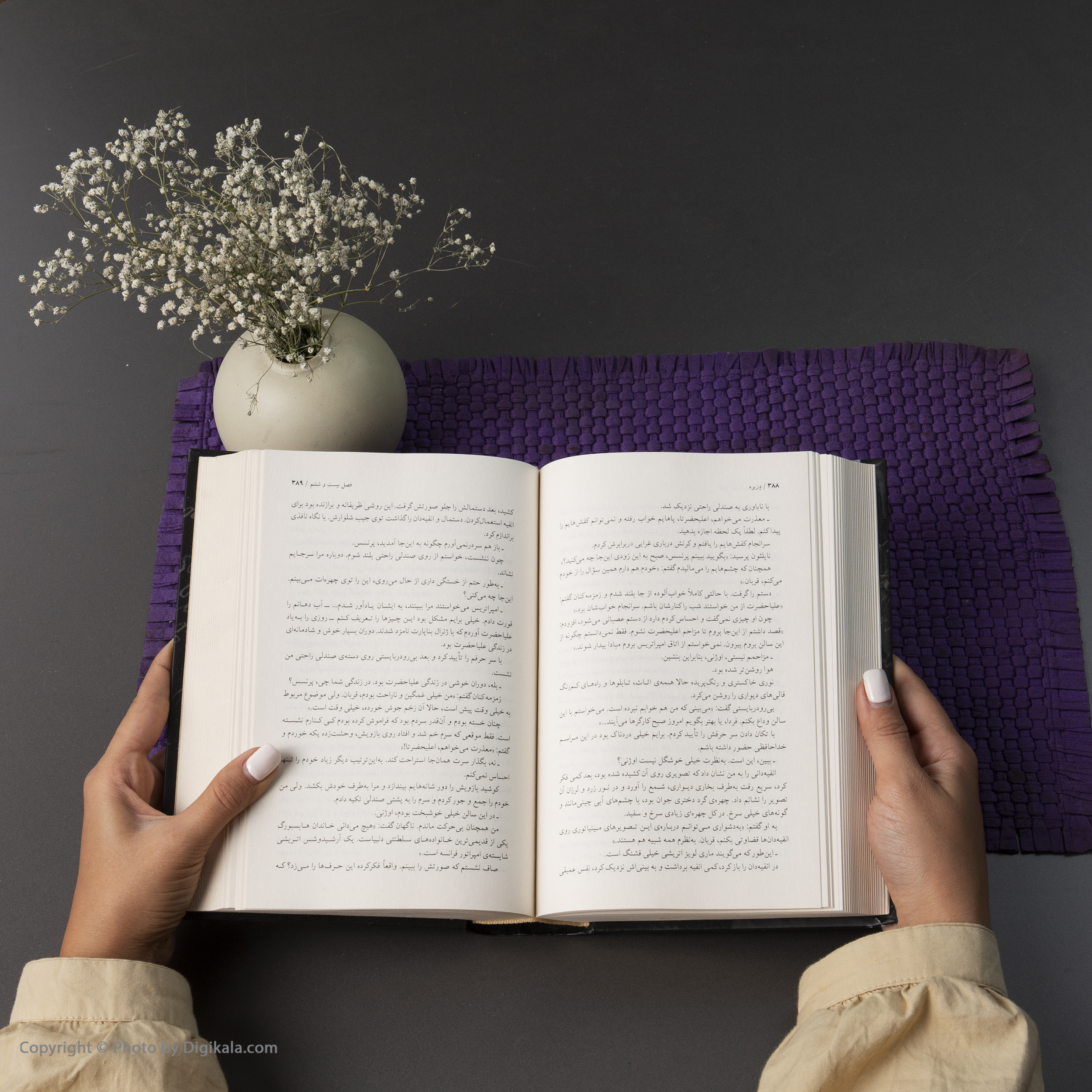 کتاب دزیره اثر آن ماری سلینکو انتشارات مجید