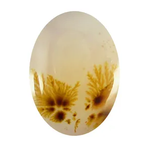 سنگ شجر پارلا گوهر کد 5131