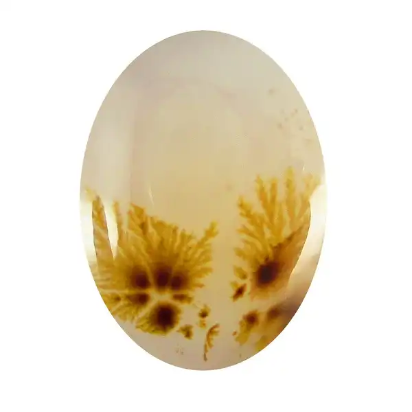 سنگ شجر پارلا گوهر کد 5131