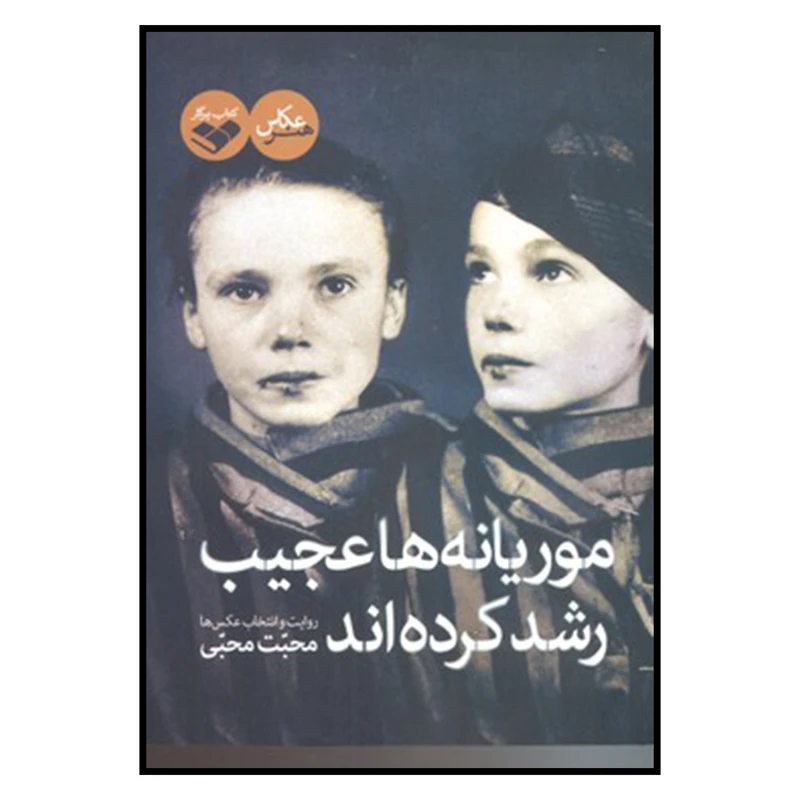 کتاب موریانه ها عجیب رشد کرده اند اثر محب محبی انتشارات پرگار 