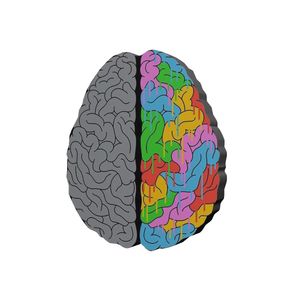 نقد و بررسی پیکسل طرح مغز کد 314 توسط خریداران