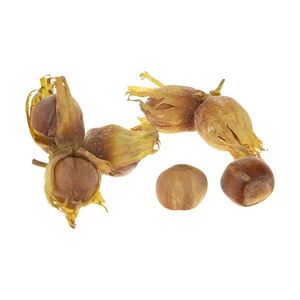 فندق تازه - 250 گرم