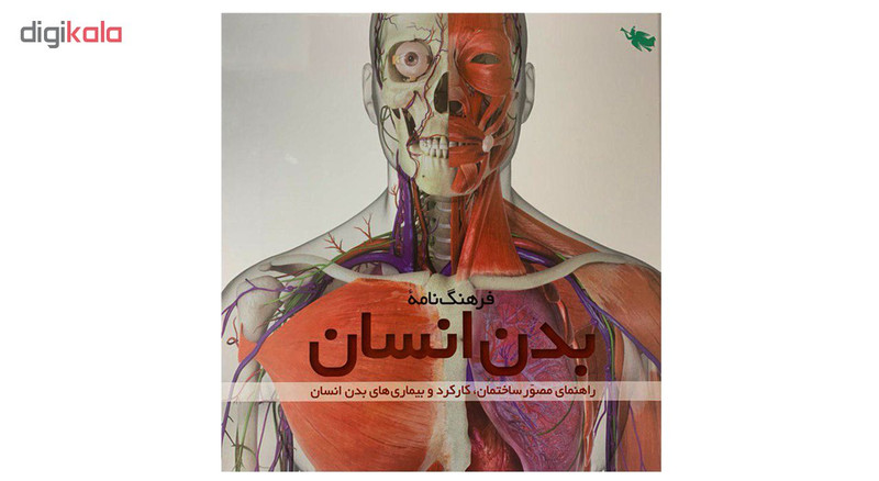 کتاب فرهنگنامه بدن انسان اثر استیو پارکر نشر طلایی کتاب فرهنگنامه بدن انسان اثر استیو پارکر نشر طلایی