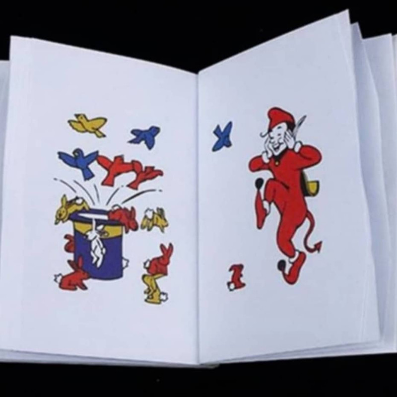 ابزار شعبده بازی پارتی لند تهران مدل کتاب کد 3301