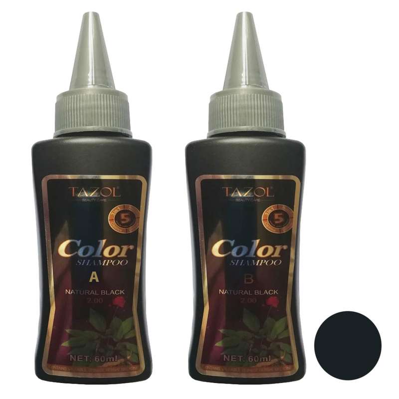 شامپو رنگ مو تزول شماره 2.0 حجم 60 میلی لیتر رنگ مشکی بسته 2 عددی شامپو رنگ مو تزول شماره 2.0 حجم 60 میلی لیتر رنگ مشکی بسته 2 عددی