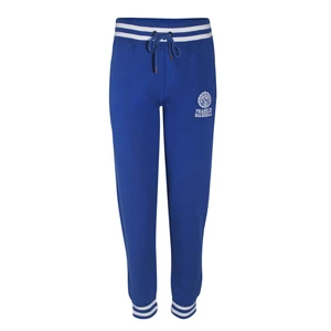 شلوار ورزشی مردانه فرانکلین مارشال مدل Fleece Slim Long کد 416A
