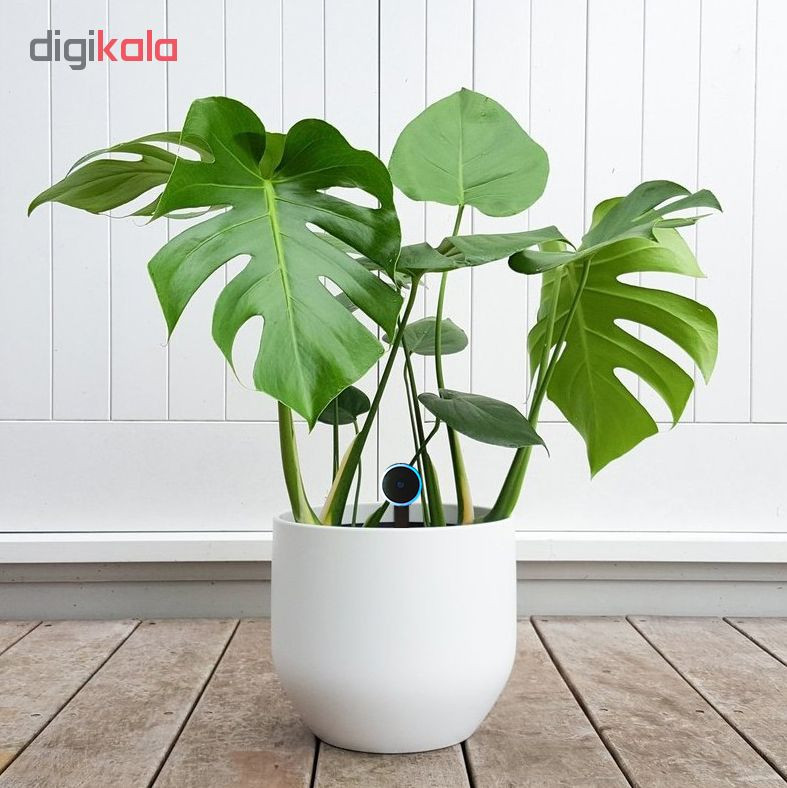 سنسور رطوبت سنج گلدان سولاما