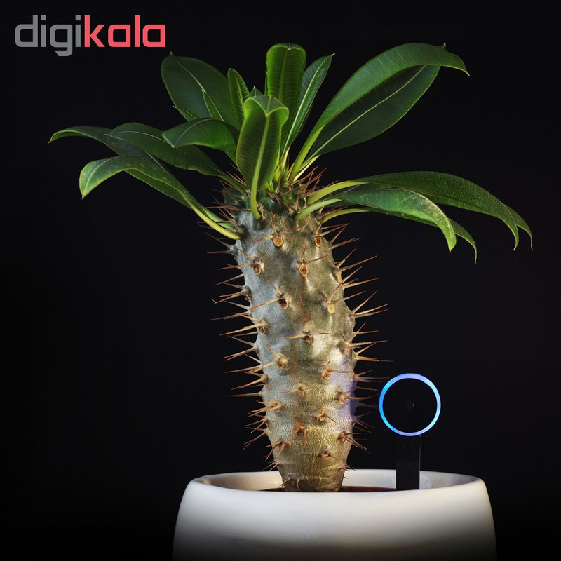 سنسور رطوبت سنج گلدان سولاما