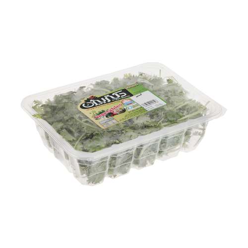 گشنیز دکتر بیژن مقدار 130 گرم