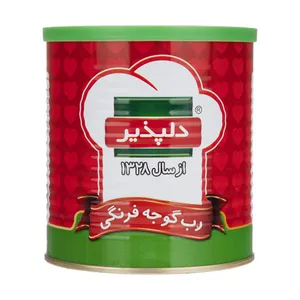رب گوجه فرنگی دلپذیر مقدار 800 گرم