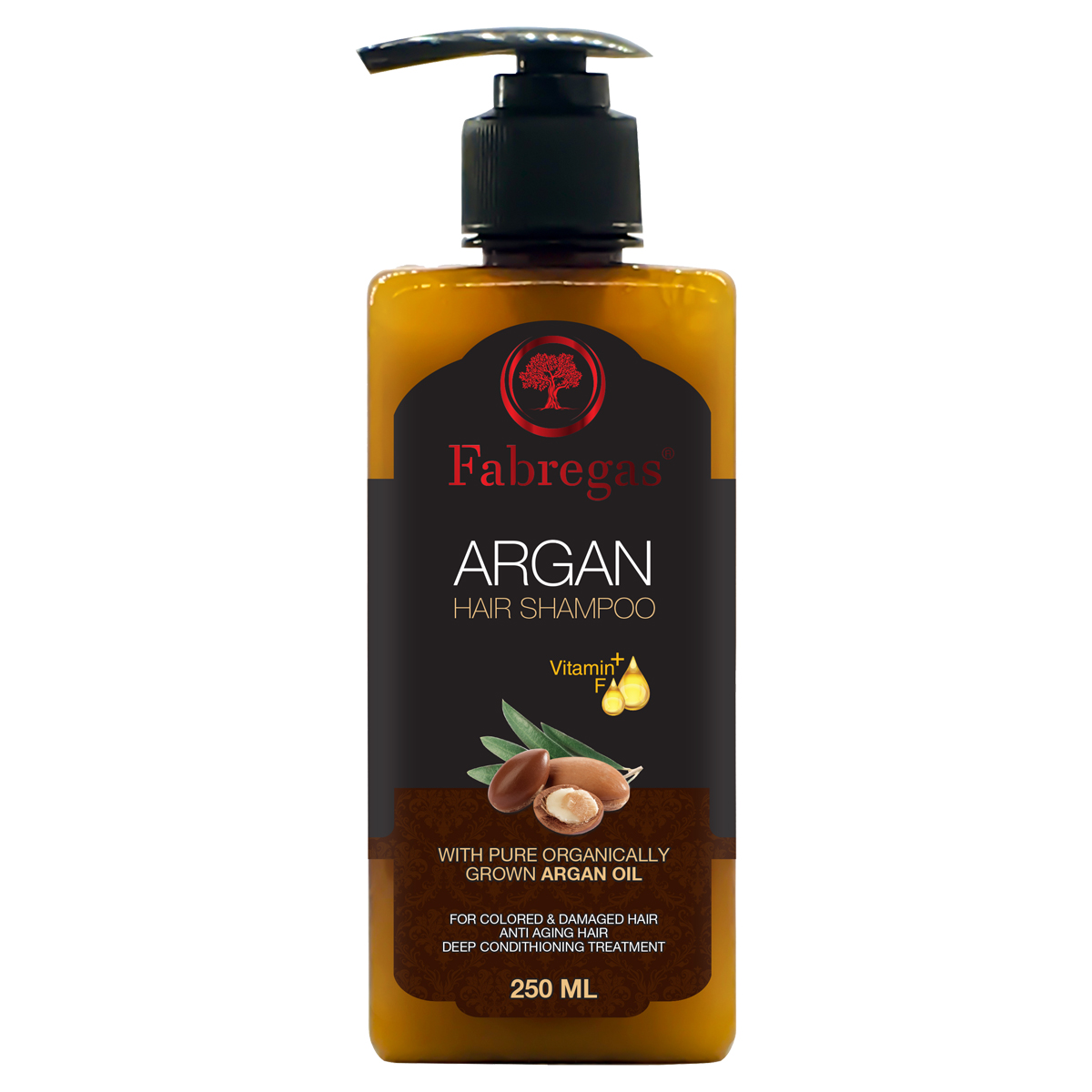 شامپو مو فابریگاس مدل Argan حجم 250 میلی لیتر