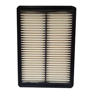 Hyundai Genuine Parts 28113C1100 Air Filter 