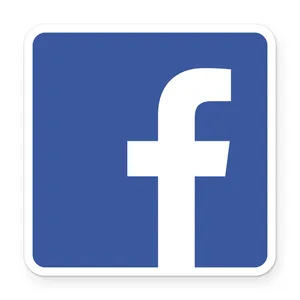 Wensoni Facebook Logo Sticker