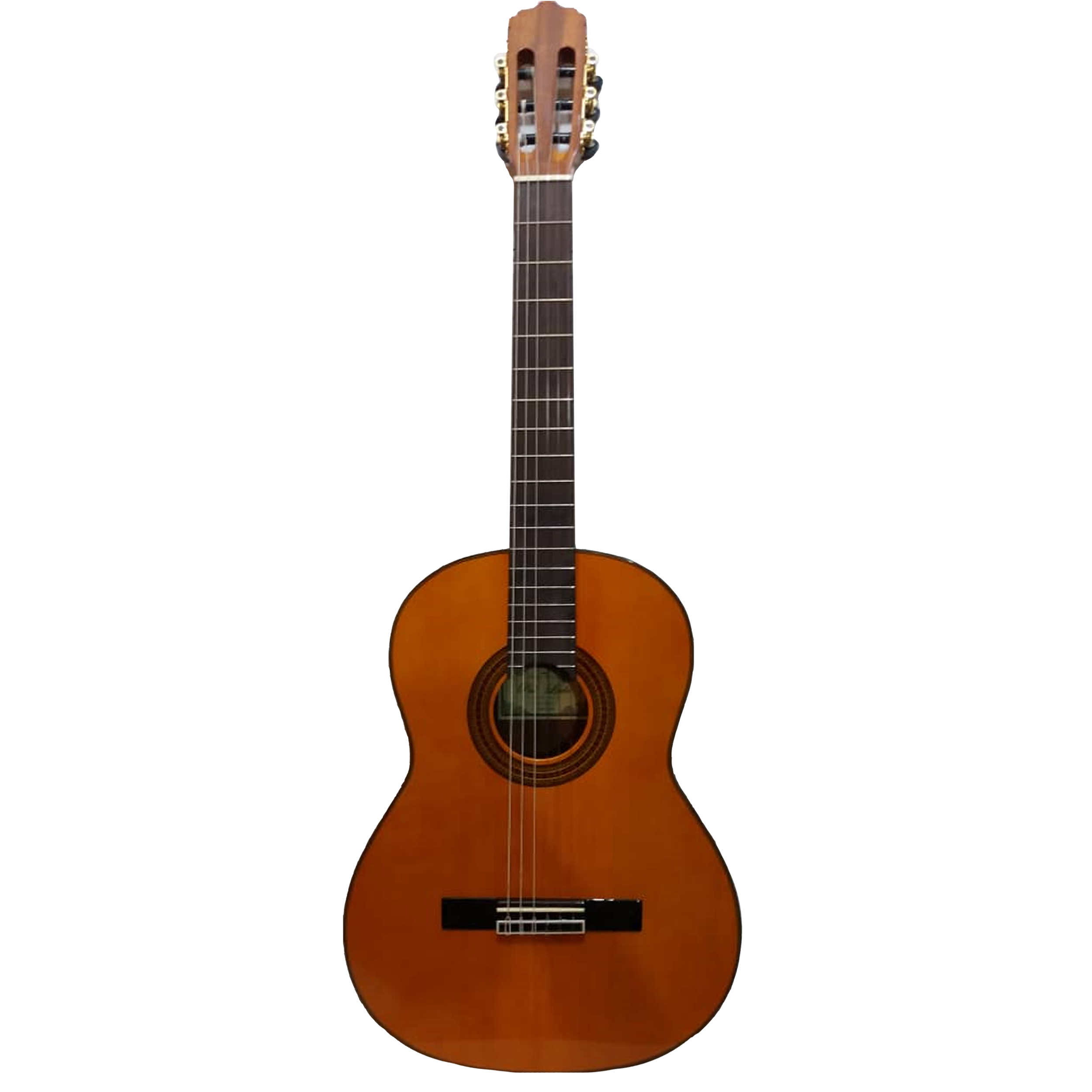 گیتار کلاسیک پالادو مدل CG 80-EQ