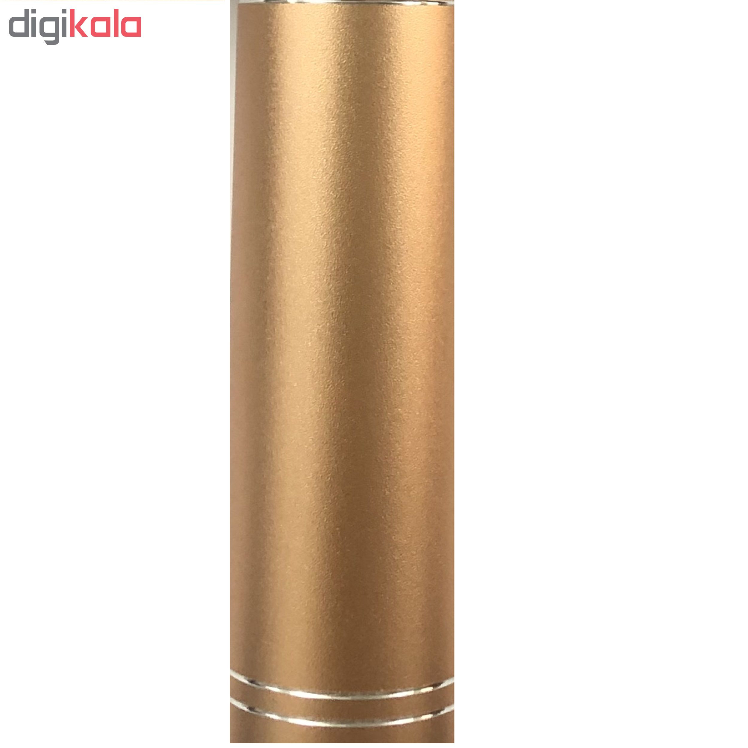 میکروفون اسپیکر مدل WS-858