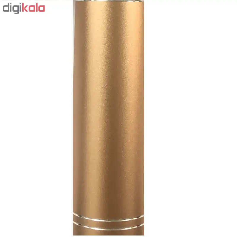 میکروفون اسپیکر مدل WS-858