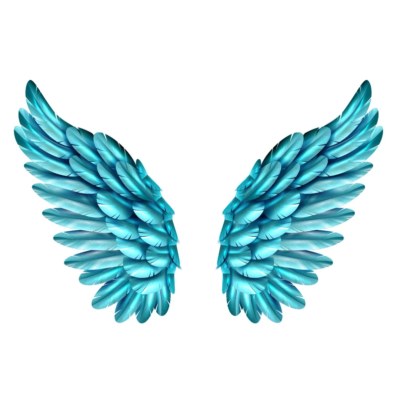 استیکر لپ تاپ طرح Wings کد 02