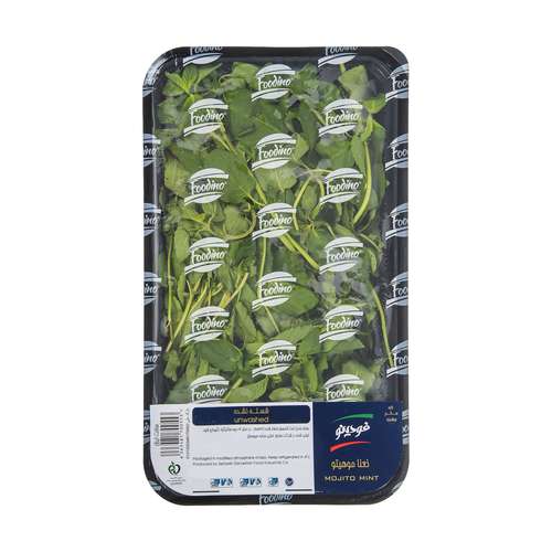 سبزی نعنا موهیتو فودینو مقدار 150 گرم
