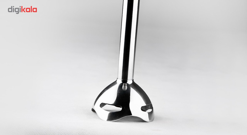 گوشت کوب برقی بایترون مدل BSB-300