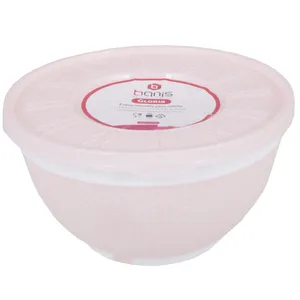 ظرف نگهدارنده بانیس کد 517