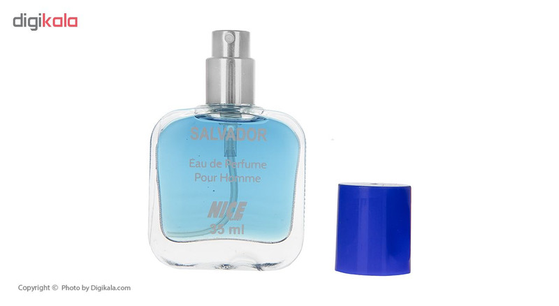 عطر جیبی نایس پاپت مدل Salvador حجم 35 میلی لیتر