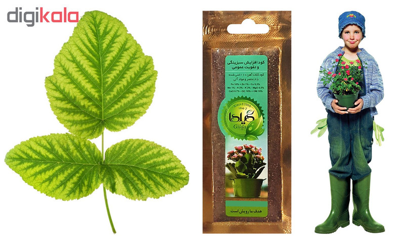 کود افزایش سبزینگی و تقویت عمومی گیلدا کد Fe10 وزن 25 گرم