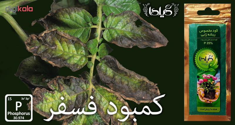 کود ریشه زایی گیلدا کد GP25 وزن 25 گرم