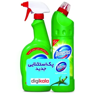 پک سفید کننده سطوح دامستوس بسته 2 عددی