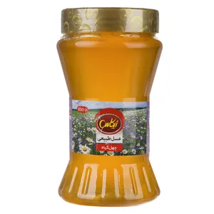 عسل طبیعی چهل گیاه ژیکاس - 650 گرم