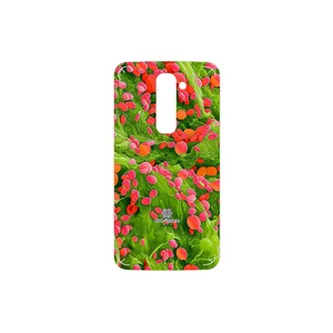 MAHOOT Atom Universe 3 Cover Sticker for LG G2