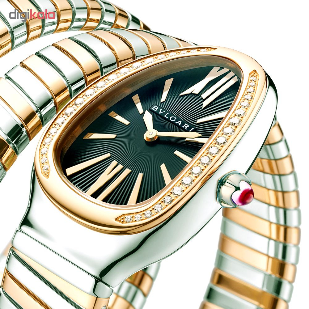 ساعت مچی عقربه ای زنانه مدل Serpenti کد HC2254