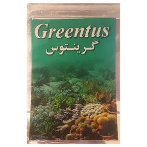  بذر کاکتوس اچینو تیغ زرد گرینتوس مدل j101 بسته 20 عددی