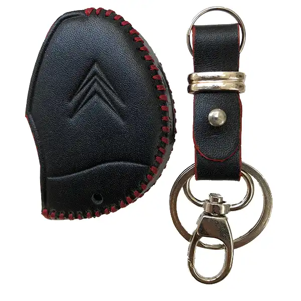 جاسوئیچی خودرو کد BN1030 مناسب برای زانتیا