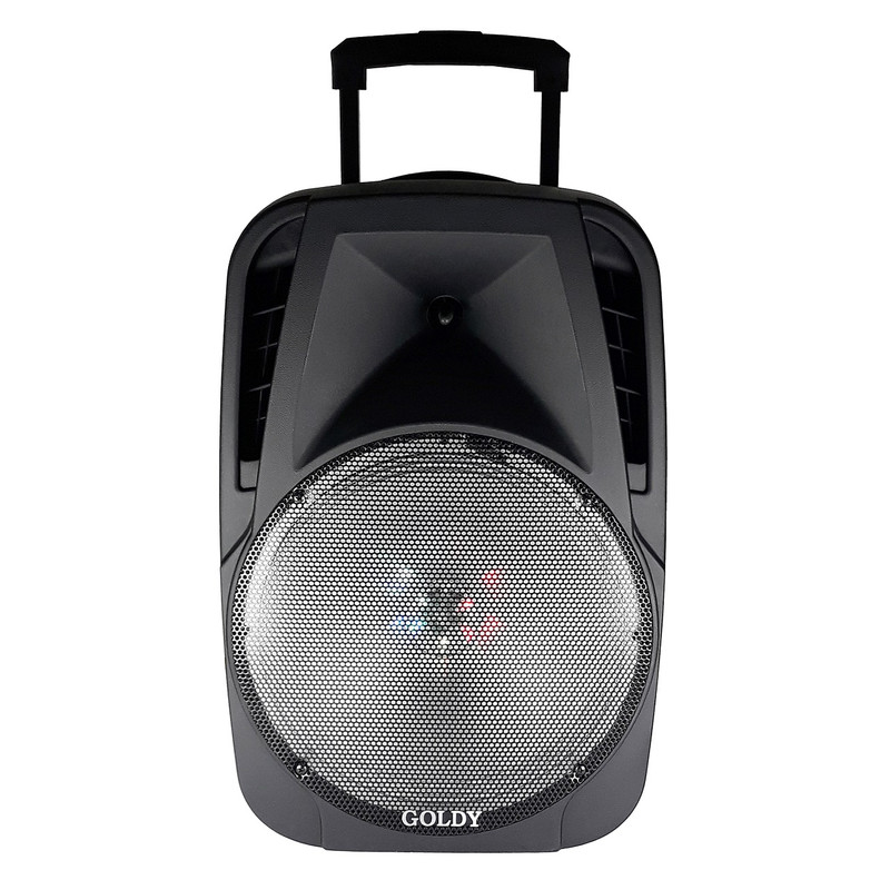 پخش کننده خانگی گلدی مدل GT-4085ASP