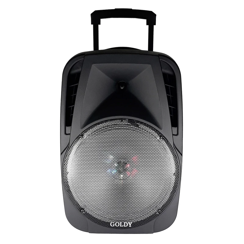 پخش کننده خانگی گلدی مدل GT-4085ASP