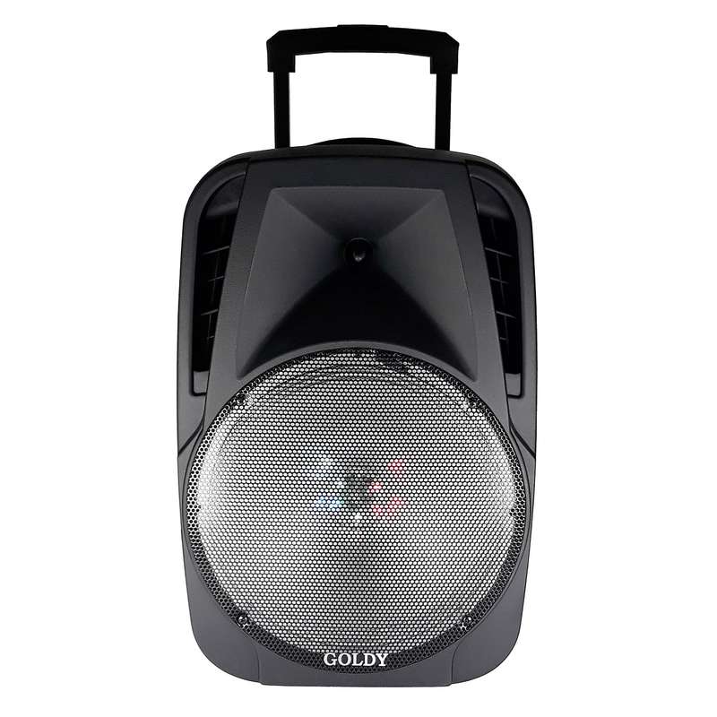 پخش کننده خانگی گلدی مدل GT-4085ASP