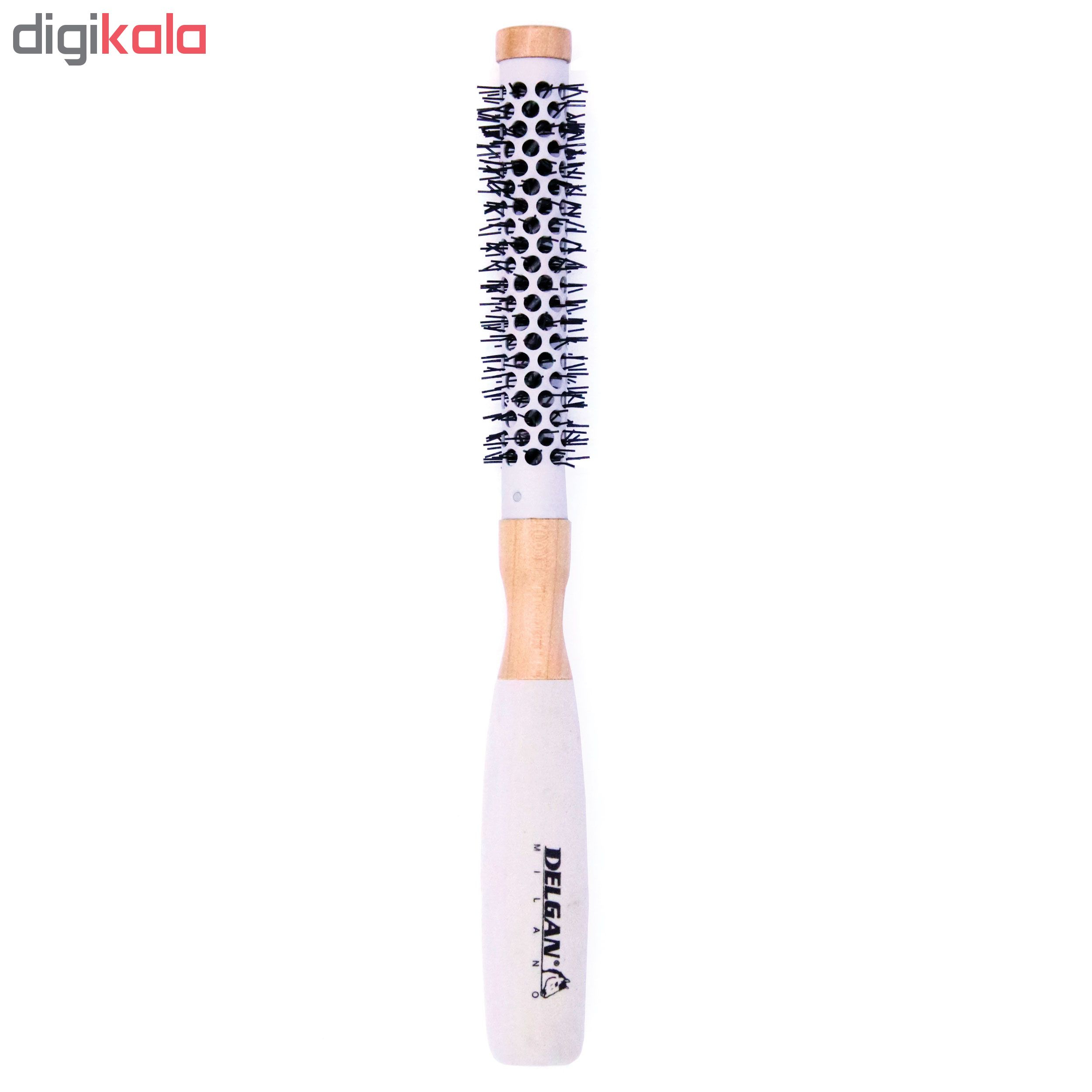 برس مو دلگان مدل W11-R0215-109-VW07