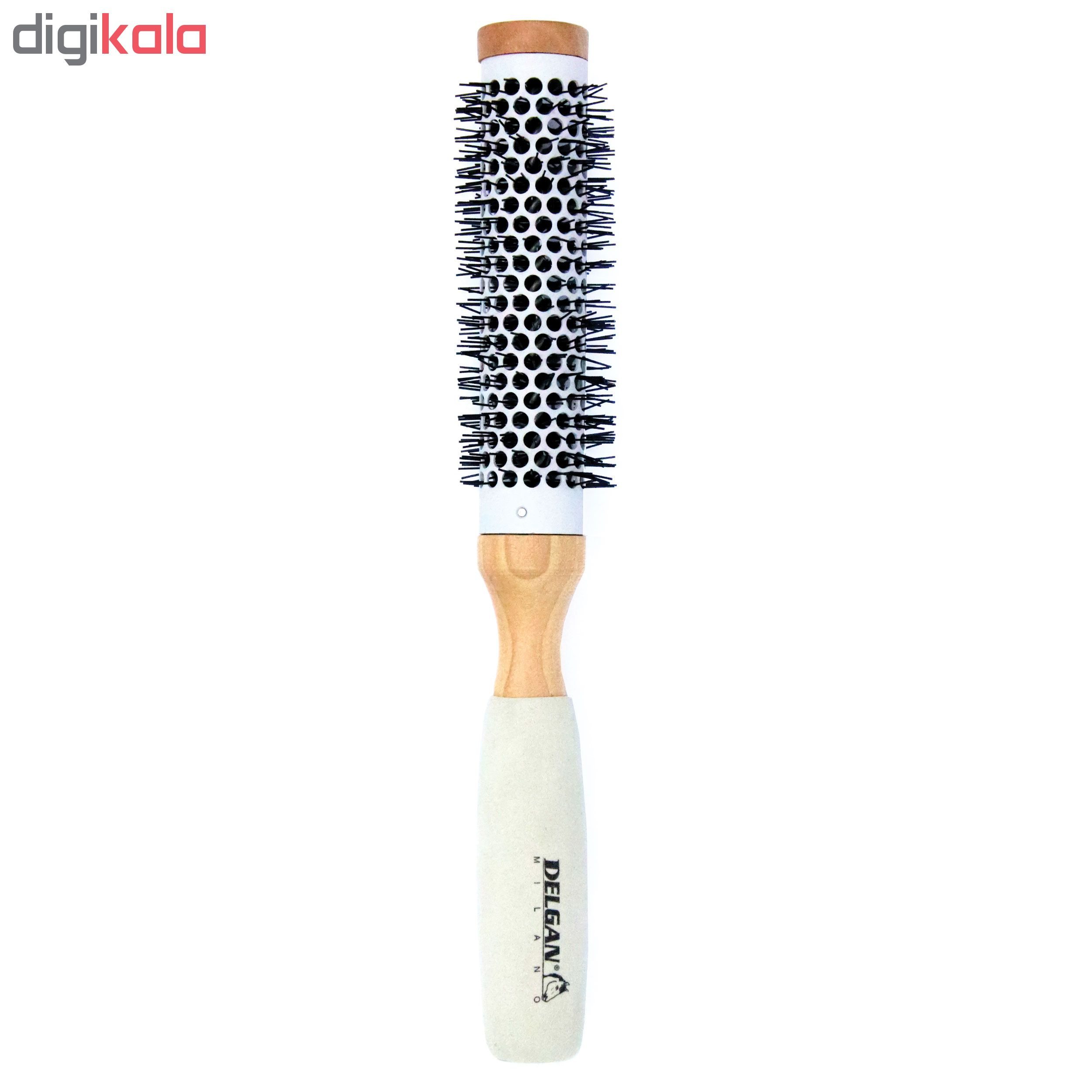 برس مو دلگان مدل W11-R0225-109-VW07