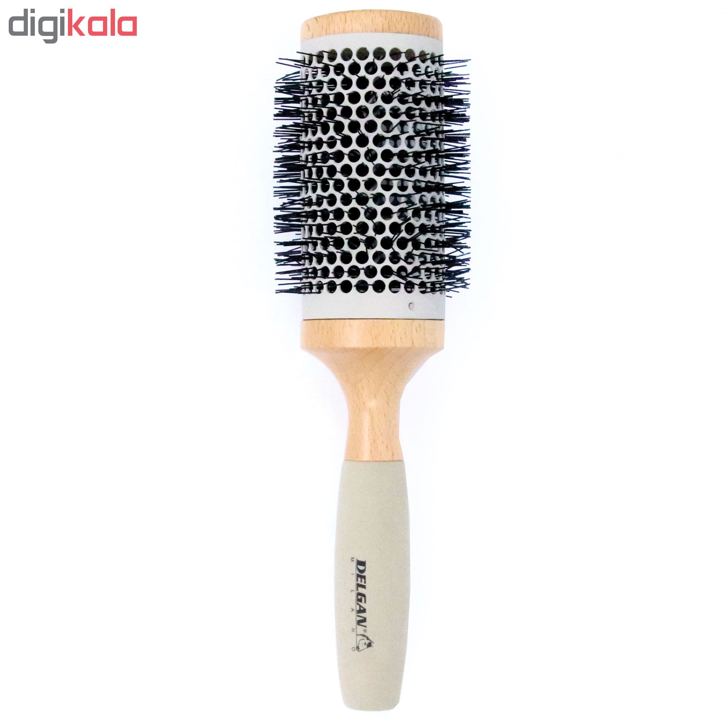 برس مو دلگان مدل W11-R0255-109-VW07