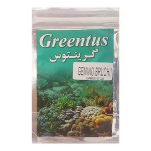  بذر کاکتوس ژمینو بروچی گرینتوس مدل j106 بسته 20 عددی