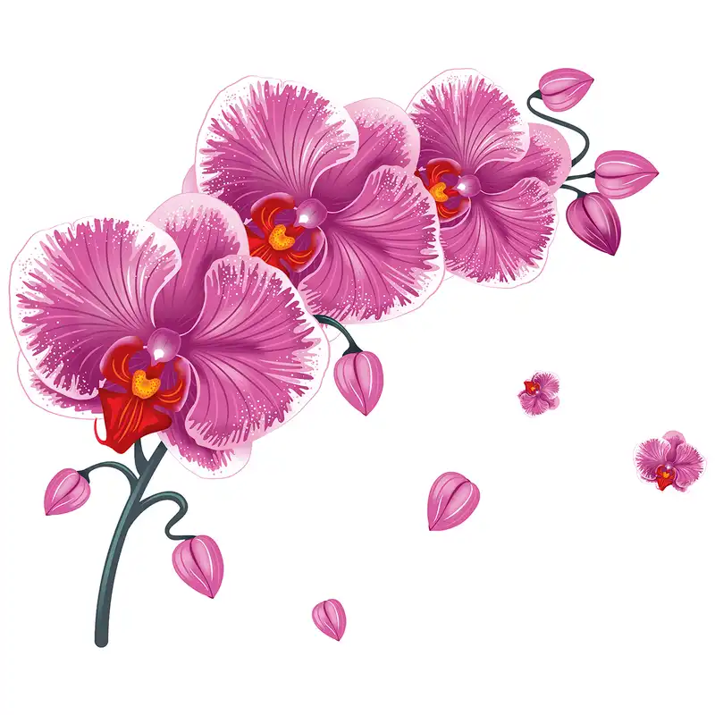 استیکر دیواری طرح گل ارکیده