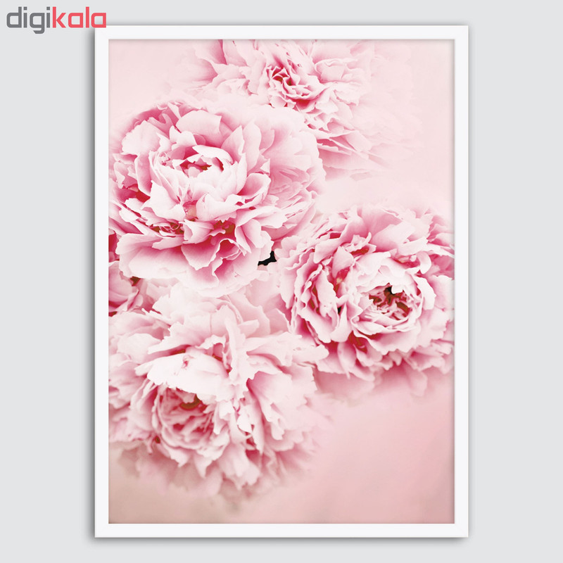 تابلو سالی وود طرح دسته گل پائونیا مدل T130204