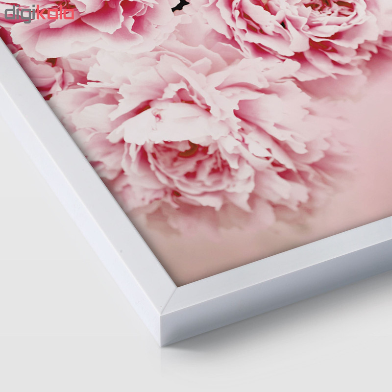 تابلو سالی وود طرح دسته گل پائونیا مدل T130204