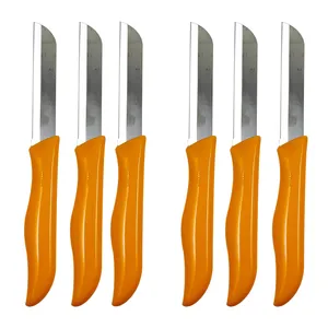 کارد میوه خوری سولینگن مدل fr001 بسته 6 عددی